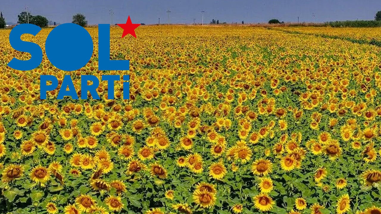 SOL Parti Kırklareli’den iktidara ayçiçeği çağrısı: Üretici taban fiyat bekliyor
