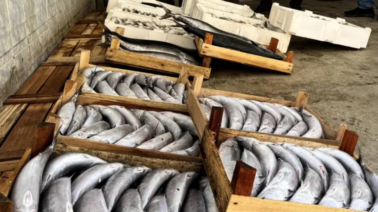 Karadeniz’de yasak dönemde 21 avcıya ceza