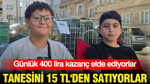 Tanesini 15 TL'den satıyorlar: Günlük 400 lira kazanç elde ediyorlar
