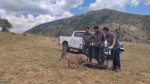 Bayburt'ta tedavisi tamamlanan yaban keçisi doğaya salındı
