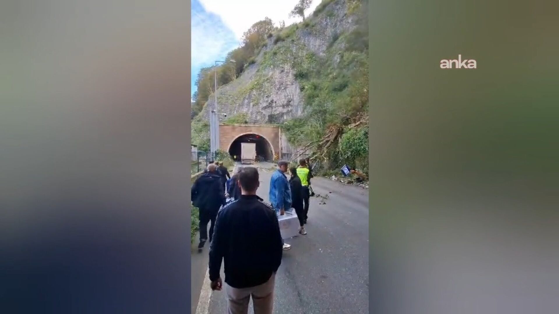 Ağaçlar araçların üzerine devrildi