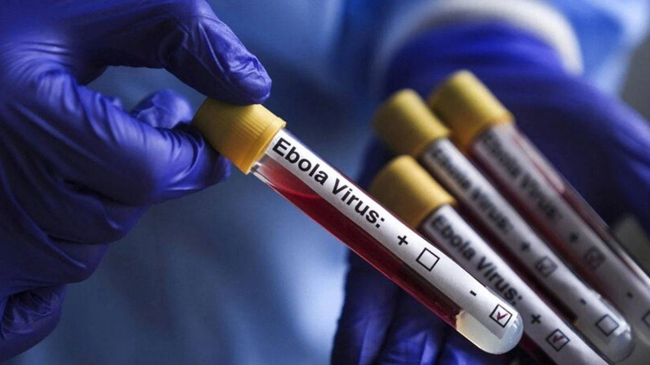 Kongo'da Ebola vakası sayısı 8 bini aştı