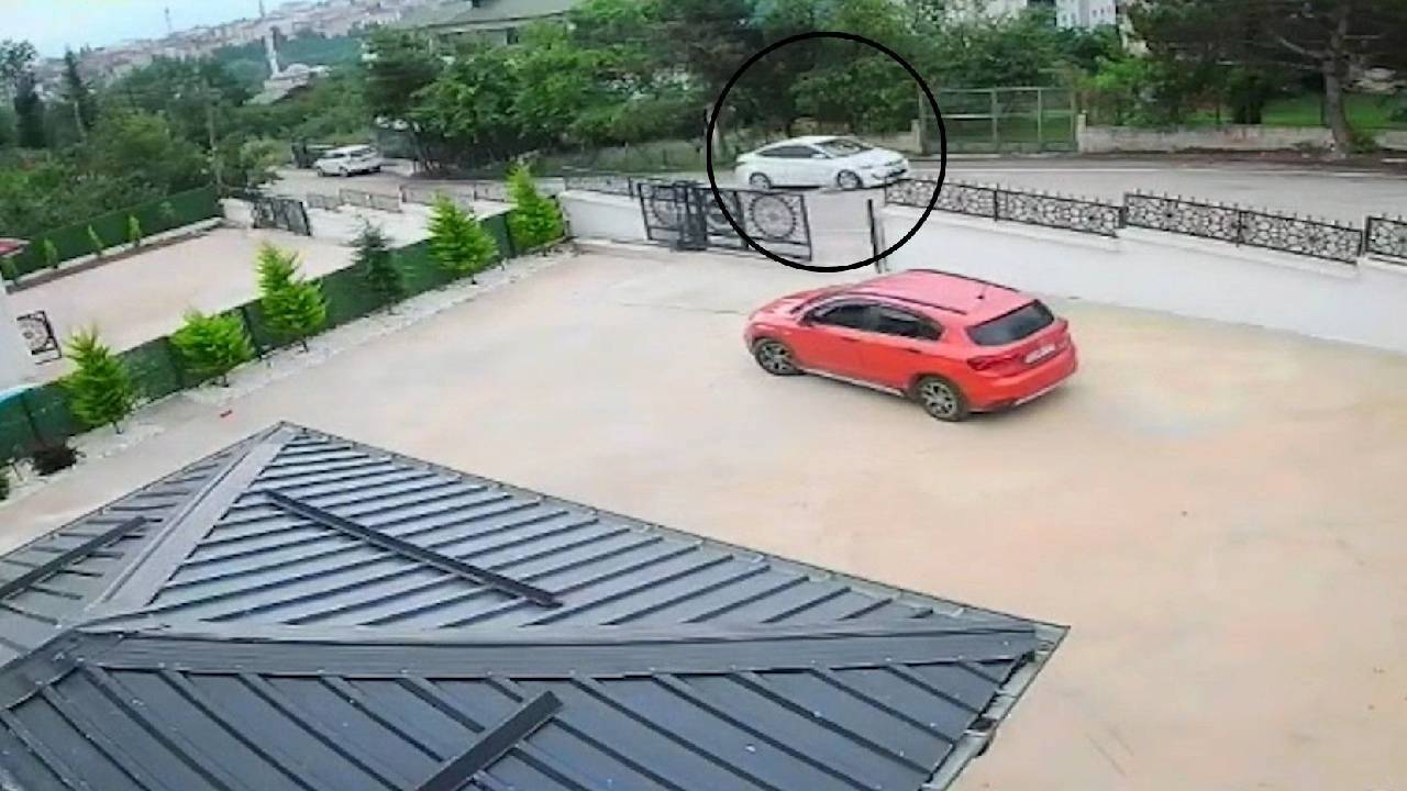 Ordu’da bir sürücü köpeğe çarpıp kaçtı: Köpek hayatını kaybetti