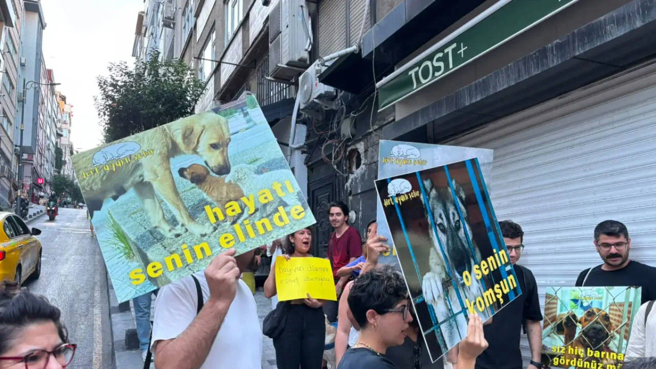 Kurtuluş’ta kediye şiddete karşı hukuki süreç başlatıldı: "Mahallemizi şiddete teslim etmiyoruz"