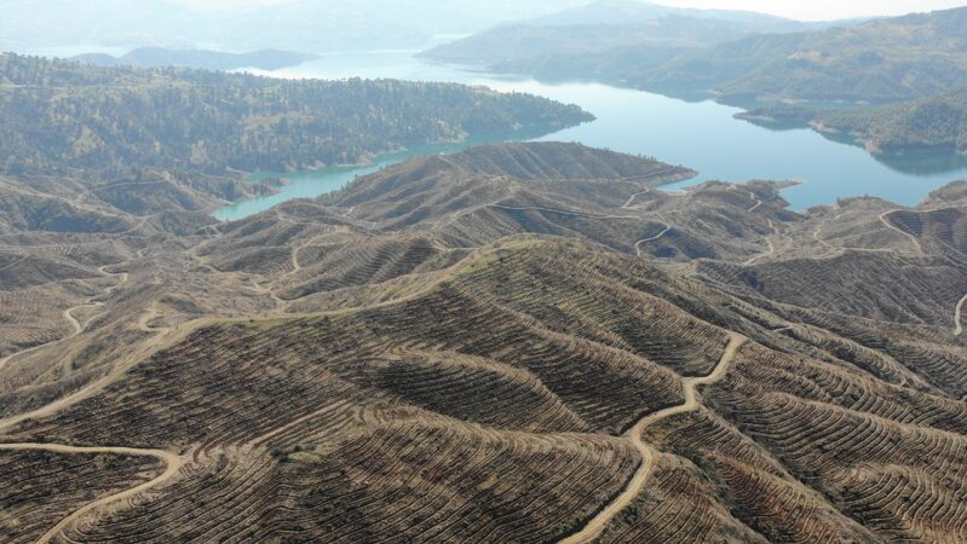 Kahramanmaraş'ta 1 milyondan fazla fidan dikilecek
