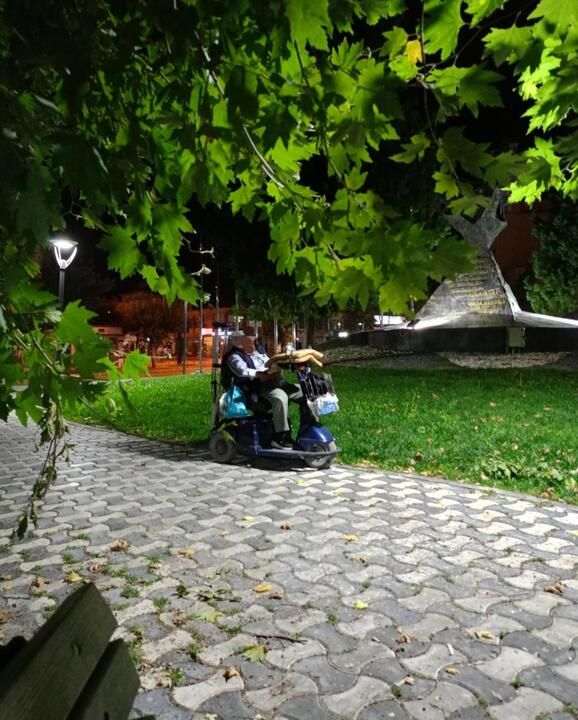 Parktaki Horultu
