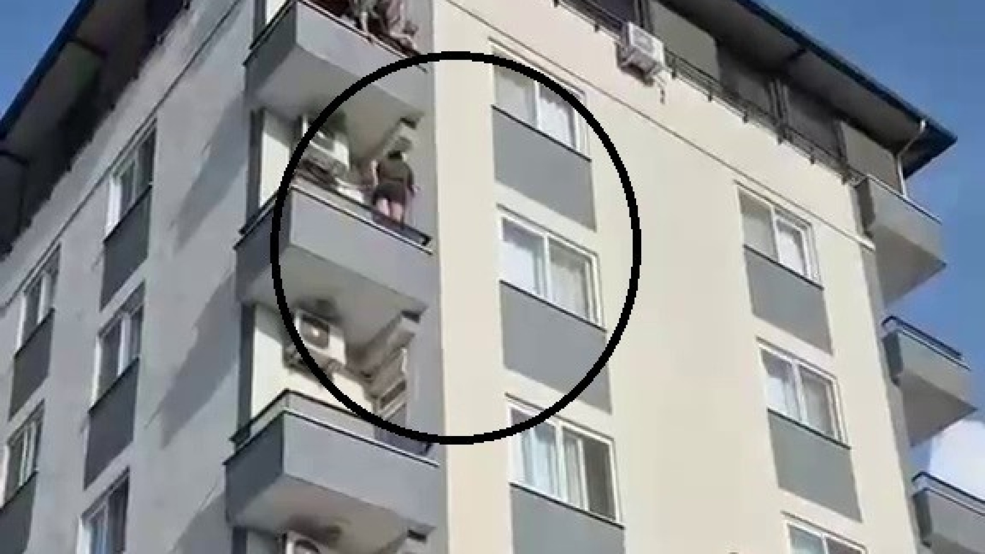 Böcekten korkunca mahsur kaldı!