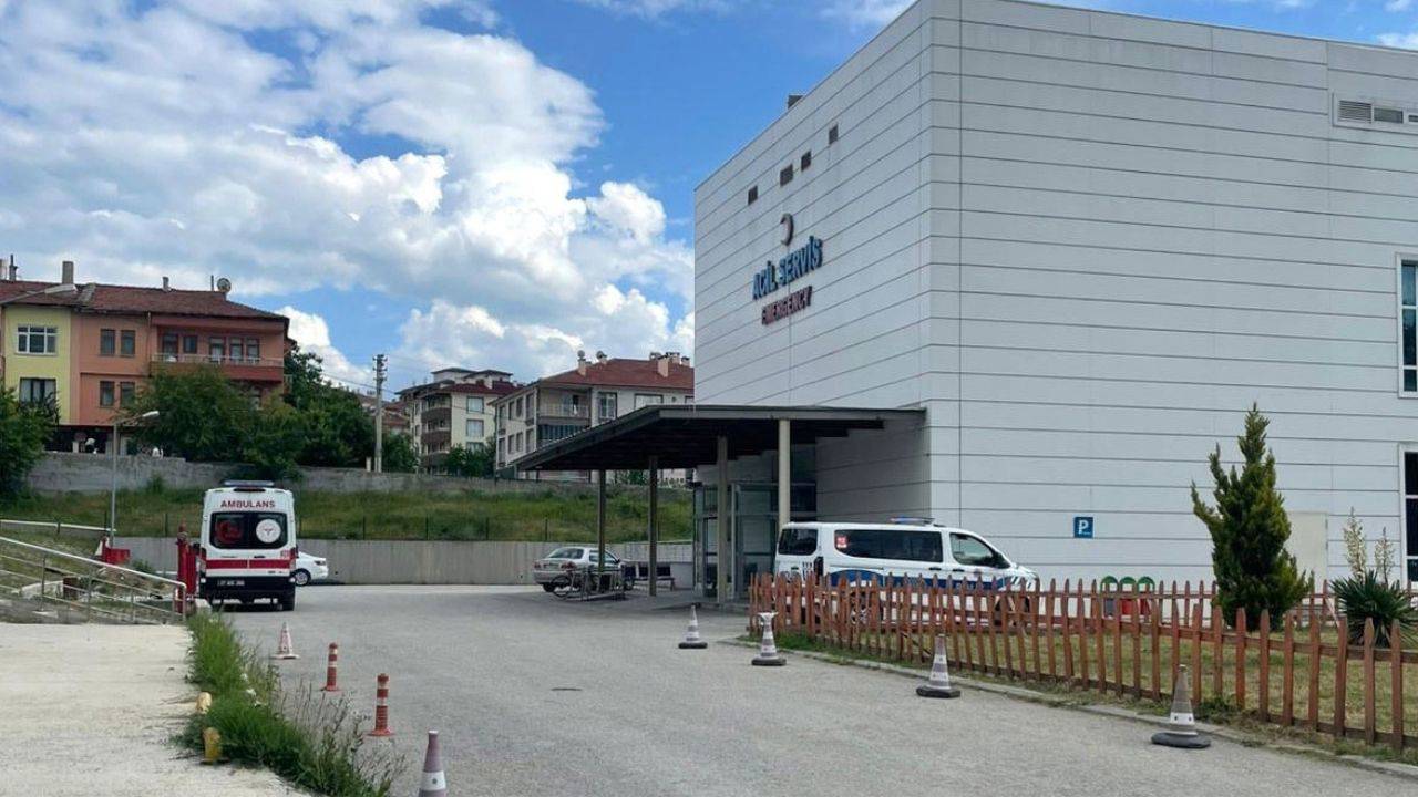 Kastamonu'da orman işçisi, arı sokması sonucu öldü