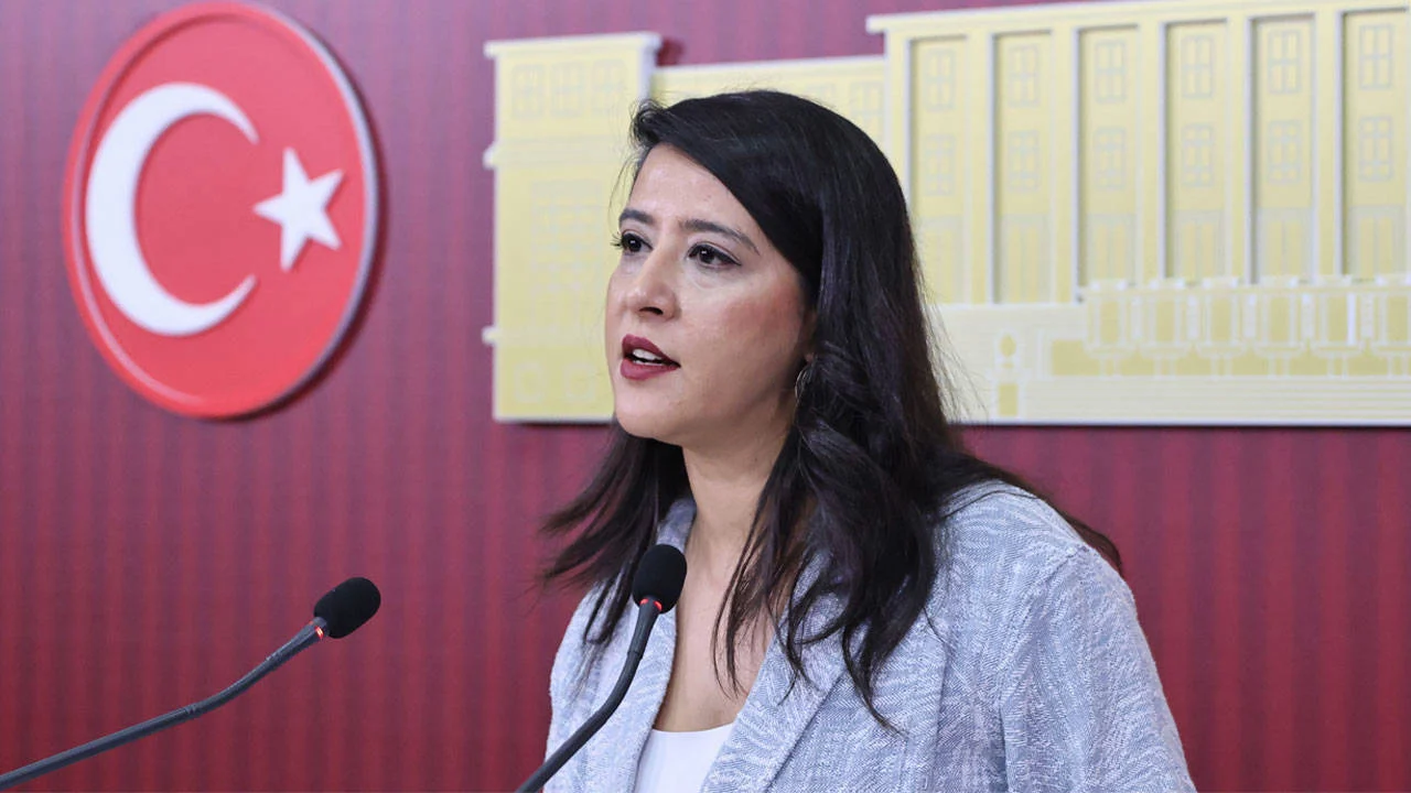 EMEP'li Sevda Karaca'dan 'fon vurgunu' tepkisi: "Meseleyi yalnızca hırsızlık olarak anlatamayız"