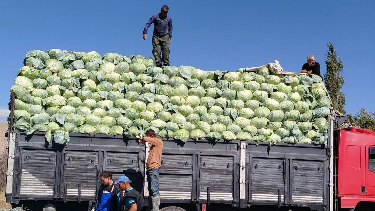 Tarımda zarar kârı yuttu