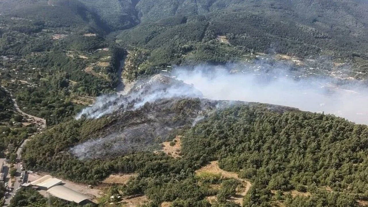 Bursa'da 3 farklı alanda orman yangını: Müdahale sürüyor