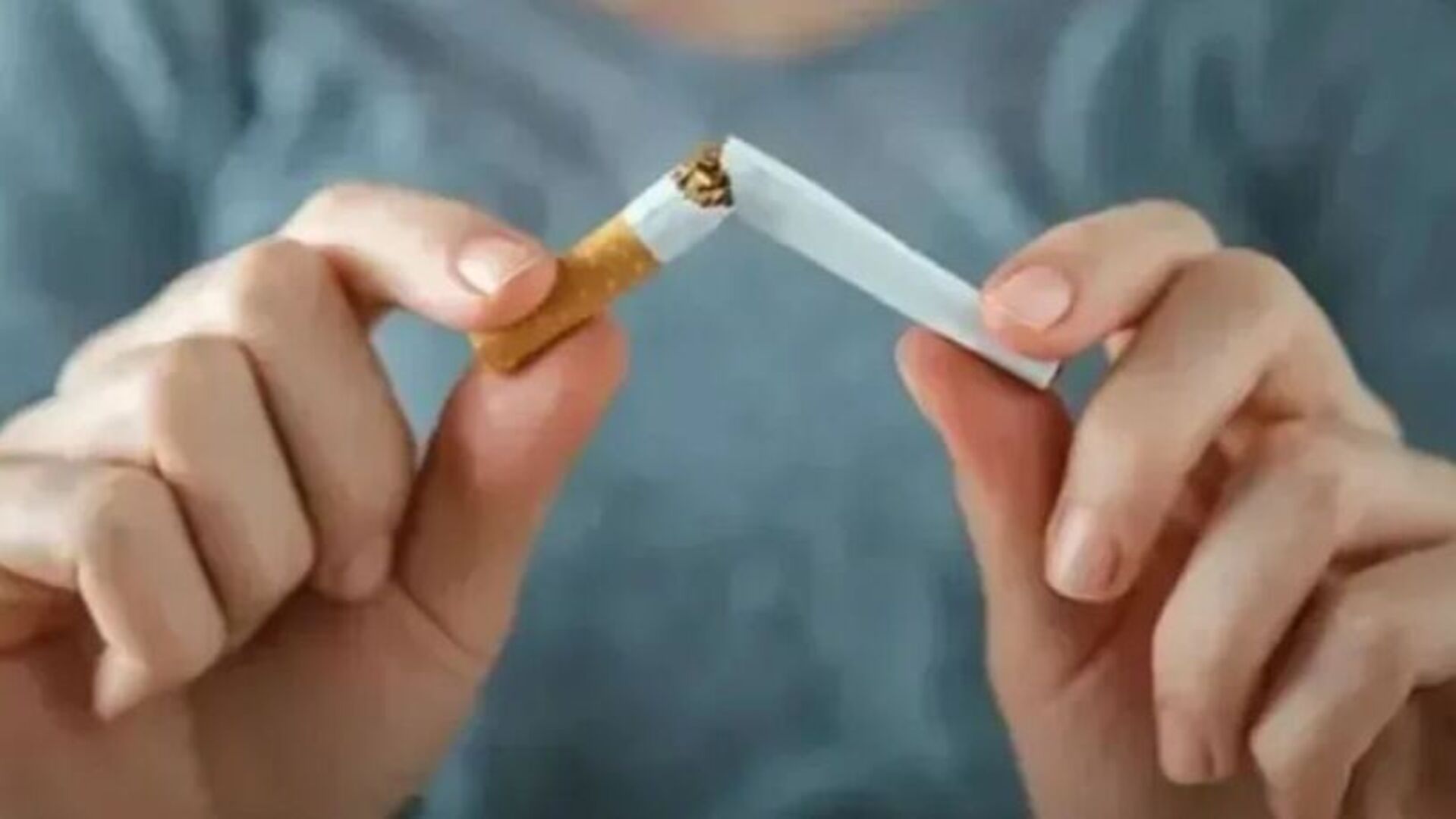 Yaprak sigara kağıdına yeni düzenleme