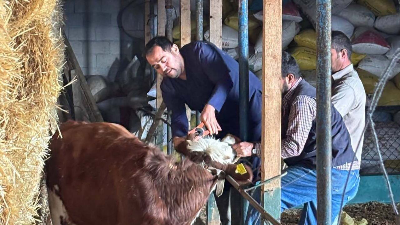 Başyayla’da Bir Yanda Aşılama, Diğer Yanda Fiyat Takibi!