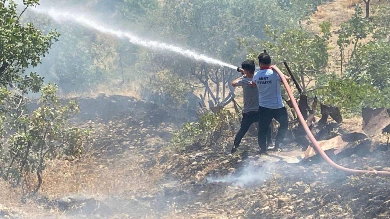 Siirt'te çıkan orman yangınına müdahale ediliyor