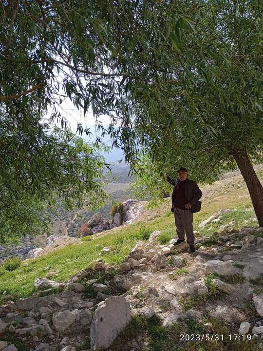 Dağ başında tek başına doğuran inek!