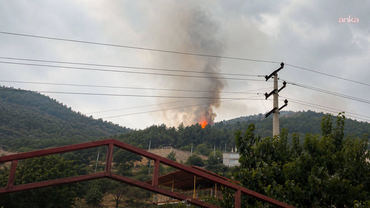 Kahramanmaraş’ta yıldırım düşen iki noktada orman yangını çıktı