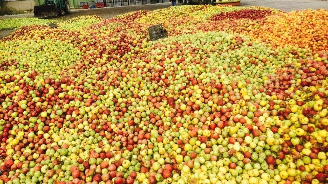 Iskarta Elma Fiyatı Üreticiyi Zorluyor