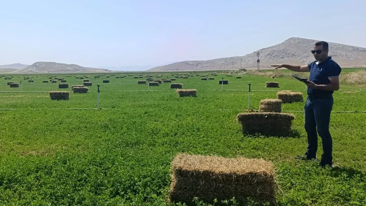 Karaman’da Tarlalar Mercek Altında