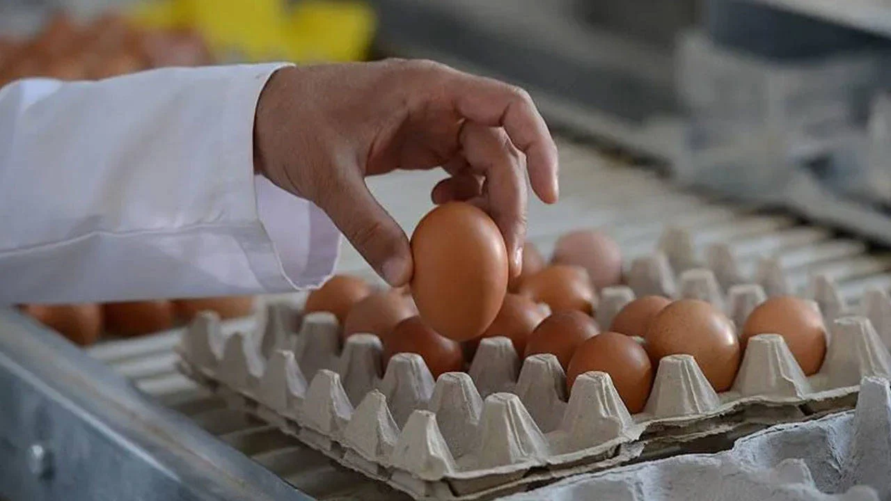 Yumurta fiyatları yeniden yükselişte: Son 4 haftada yüzde 61 arttı