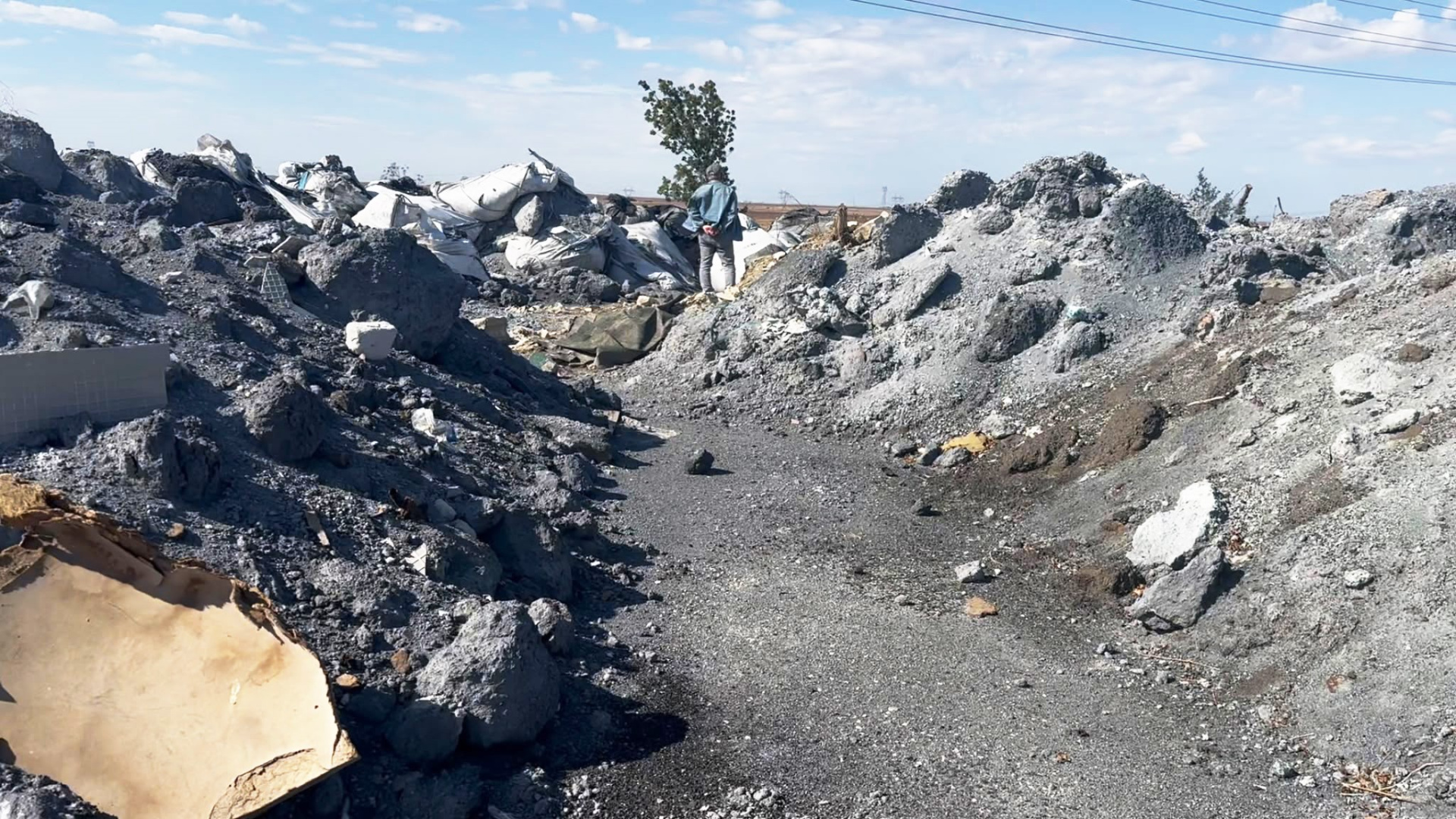 Tekirdağ'da çevre felaketi!
