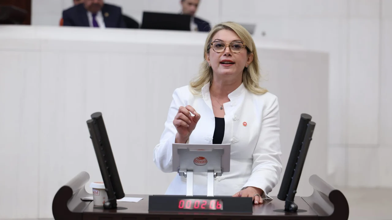 YENİ Parti Kadın Kolları Genel Başkanı Asu Kaya: “Kırsalda çalışan kadının sigortasını ödeyeceğiz"