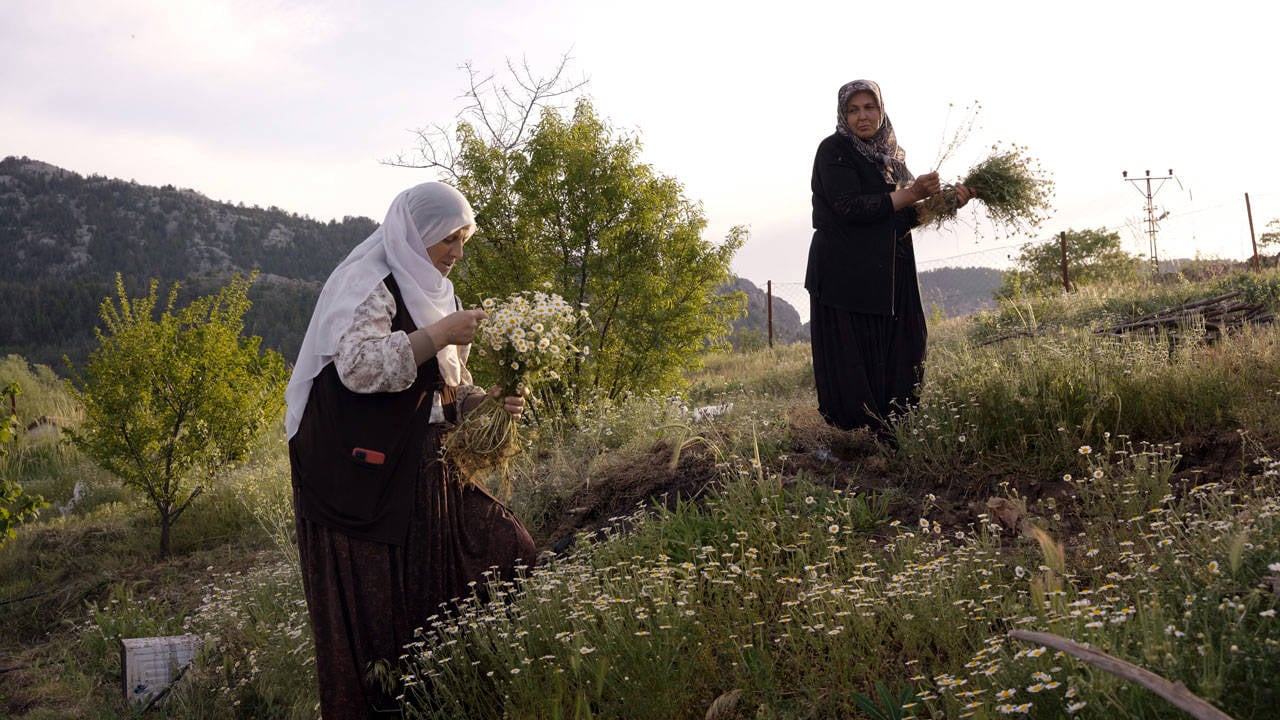 Ödüllü belgesel '32 Metre', Saraybosna Film Festivali'nde izleyiciyle buluştu