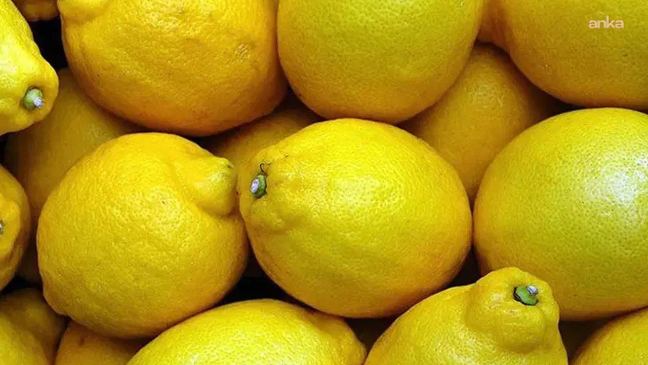 Limonun fiyatı 10 katına çıktı: Yüzde 999’luk fiyat uçurumu