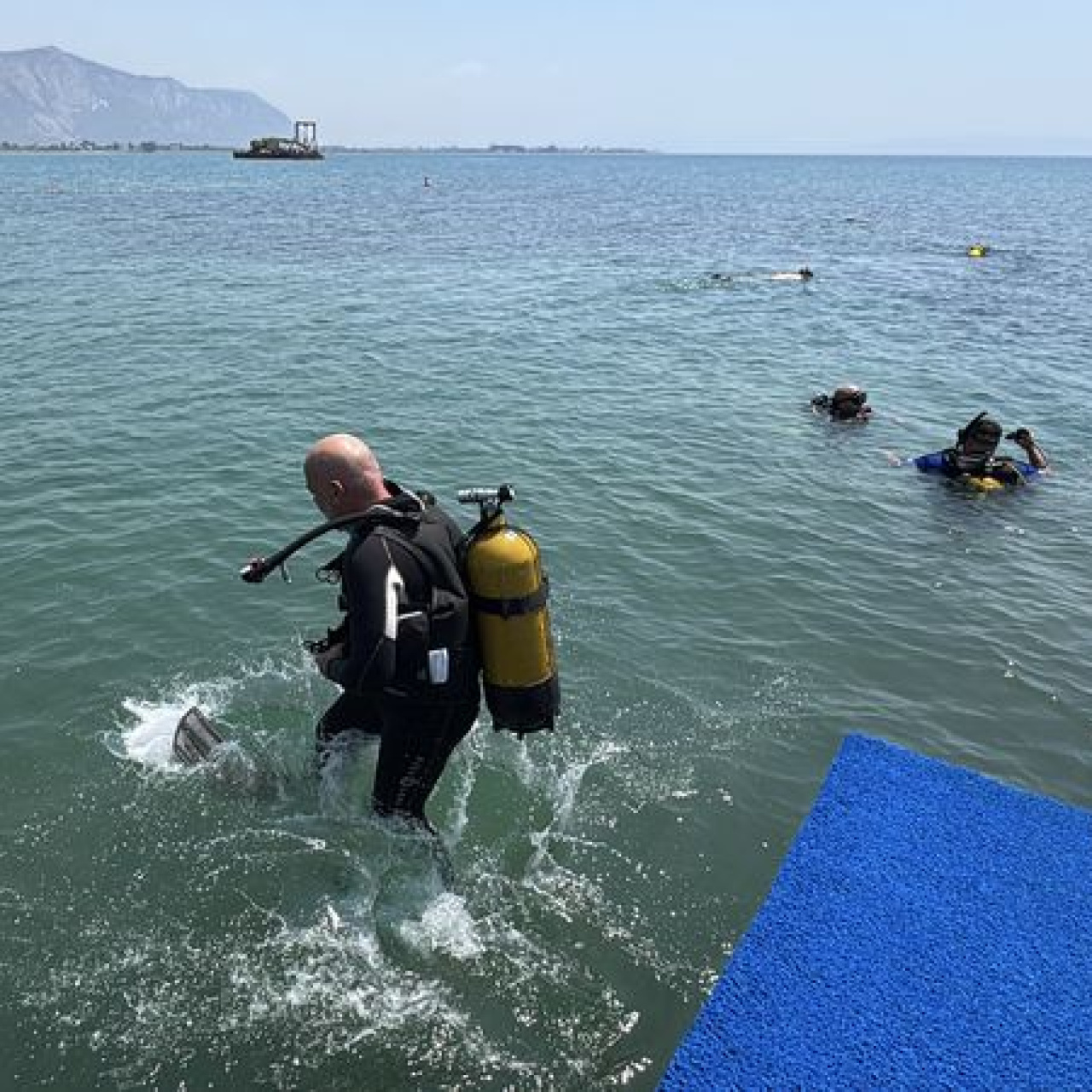Deniz çayırları projesinin sonuçları açıklandı