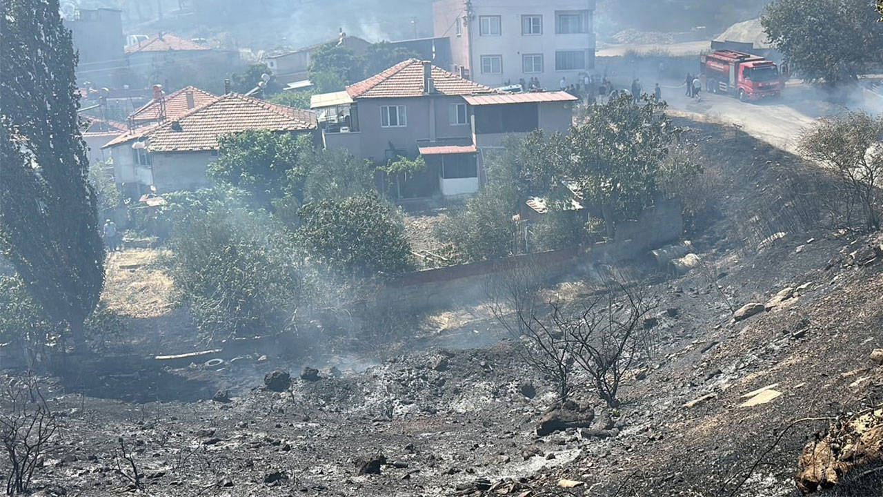 Balıkesir'de orman yangını