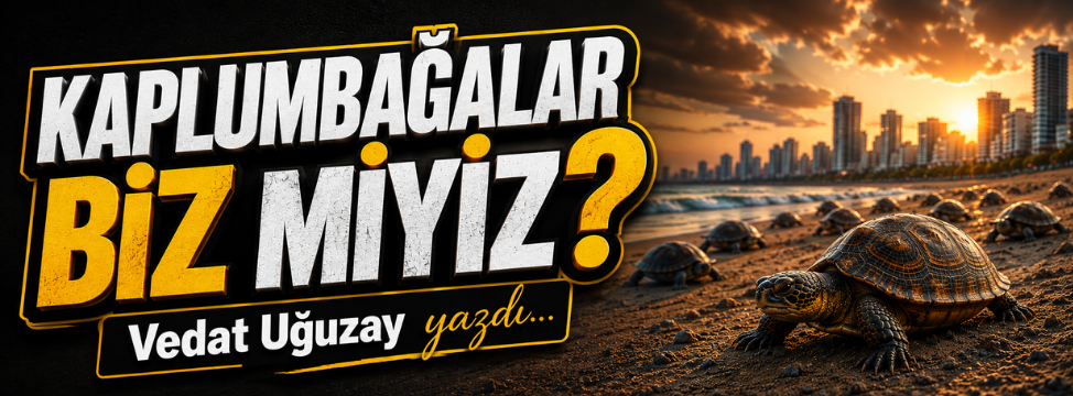 Kaplumbağalar Biz Miyiz?