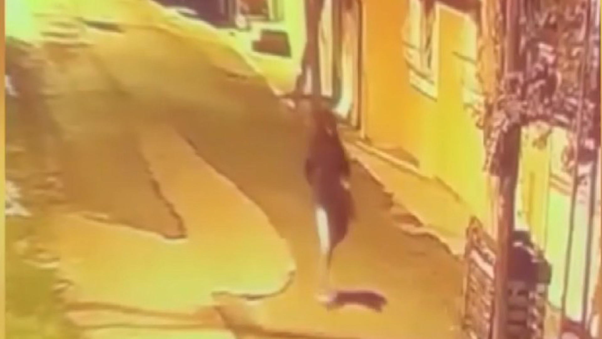 Korkunç saldırı! Haraç çetesi yanlışlıkla kuryeyi vurdu!