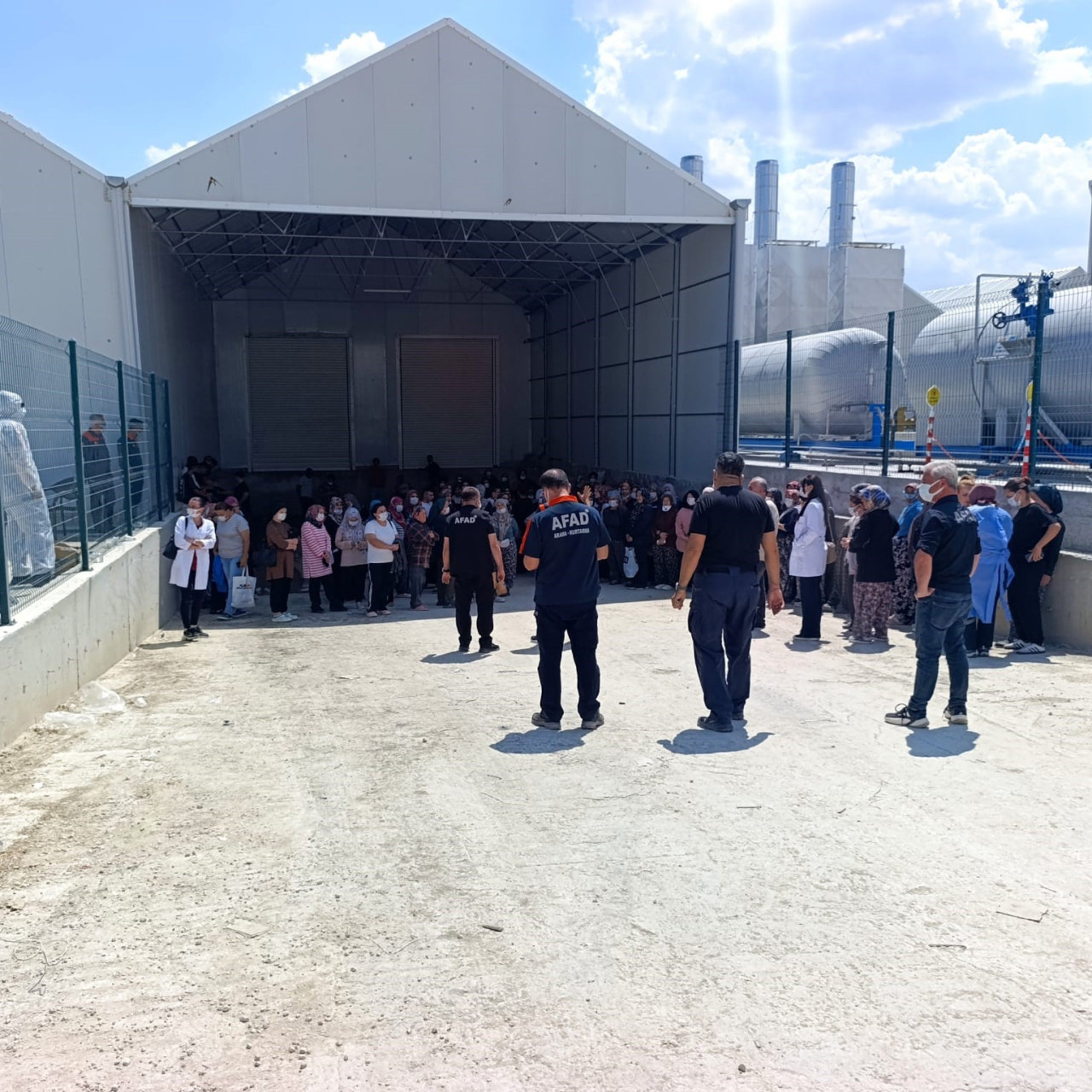 Domates serasında 40 kişi zehirlendi!