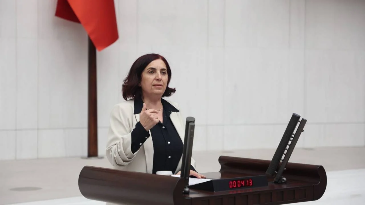 Diyarbakır'da sağlık alanında bitmeyen sorunlar TBMM gündeminde