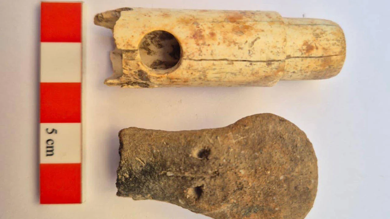 Troya’da 160 yıllık kazı tarihinde bir ilk: 2 bin 800 yıllık müzik aleti bulundu