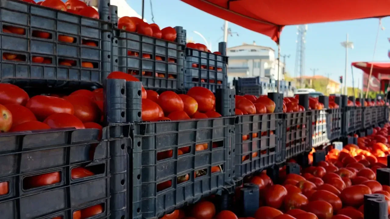Karaman’da Salçalık Pazarı Hareketlendi: İşte Biber ve Domates Fiyatları