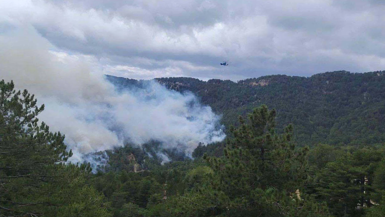 Antalya'daki orman yangını, 22 saatte kontrol altına alındı