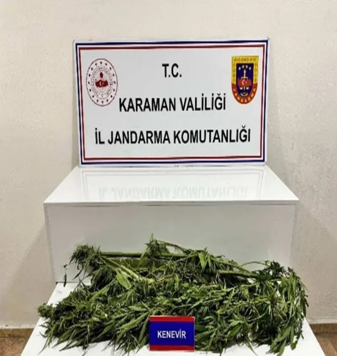 Karaman’da jandarmanın yakaladığı 31 şahıstan 11’i tutuklandı