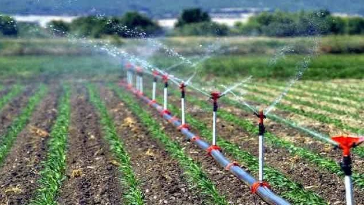 Karamanlı Üreticiler Dikkat: Son Gün 30 Ekim!