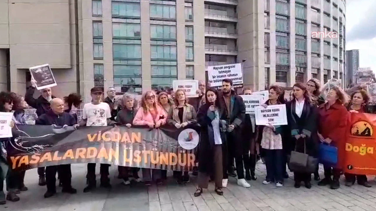 Hayvan hakları savunucularından 'susma, korkma, koru ve yaşat' çağrısı