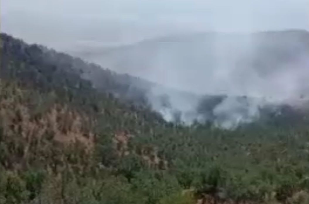 Konya'da orman yangını / Ek görüntüler