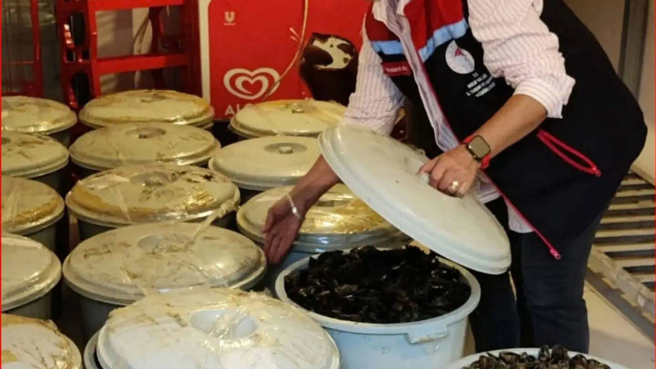 Bolu'da 650 kilo bozuk midye ele geçirildi
