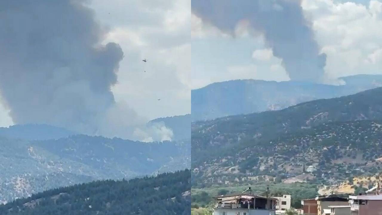 Aydın'da ormanlık alanda yangın çıktı
