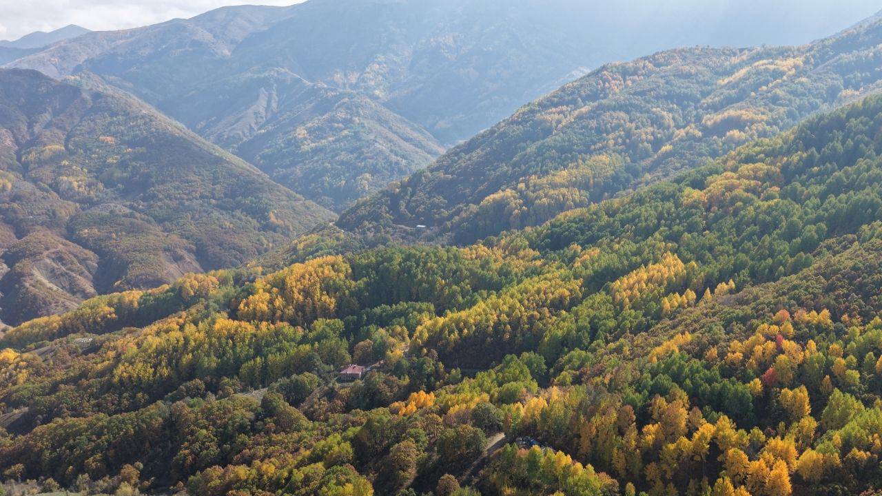 Dersim'de 'yüksek gerilim hattı' protestosu: "Pülümür Vadisi talan ediliyor"