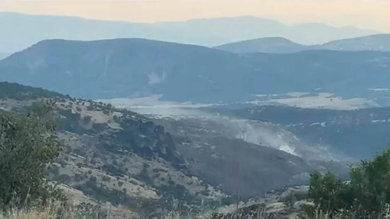 Deforestation for coal