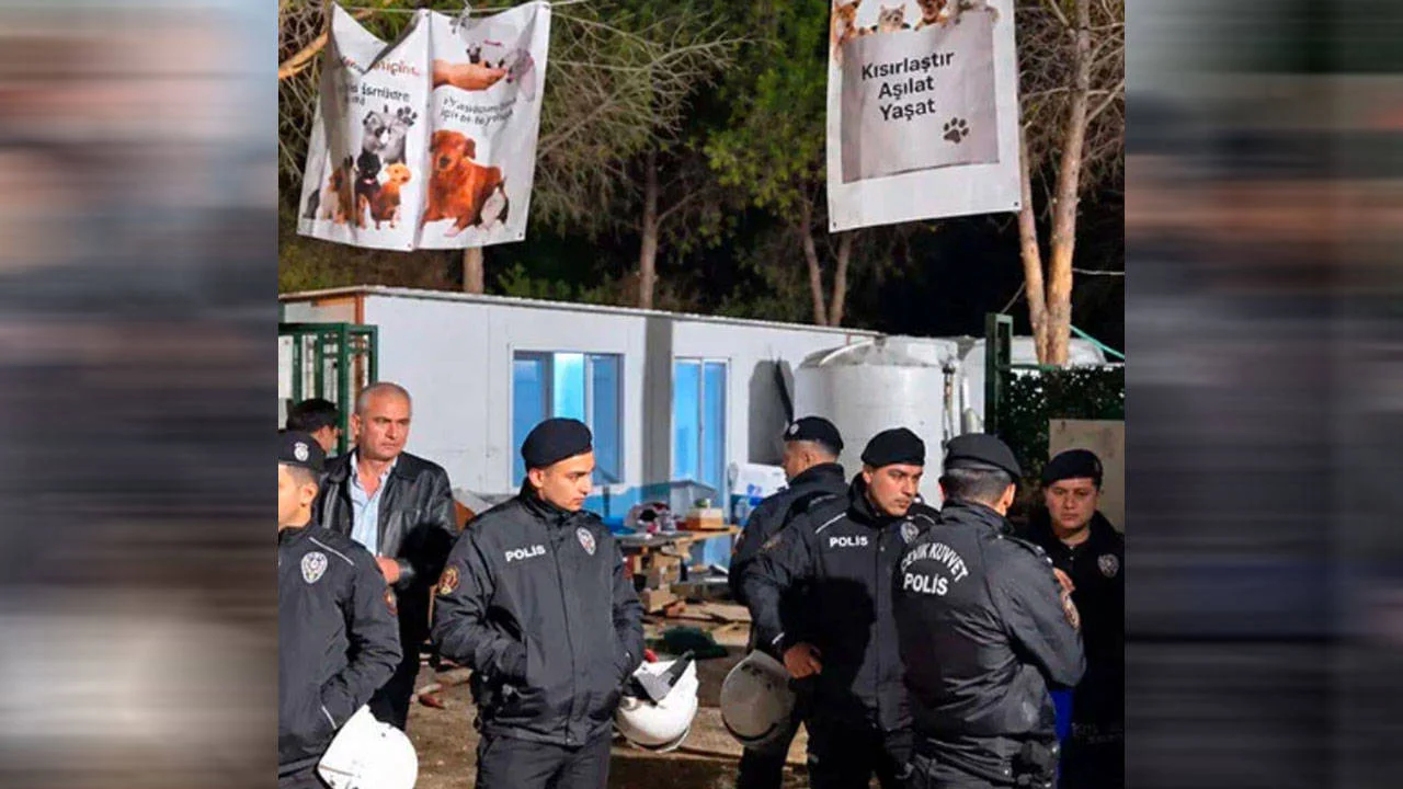 Kampüsteki can dostlara gece baskını