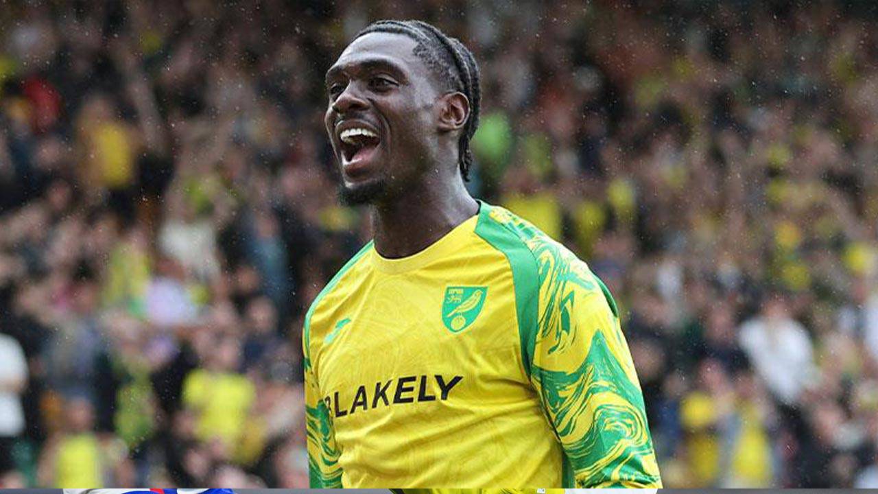 Trabzonspor’un Muhammed Toure transferine Norwich’ten veto