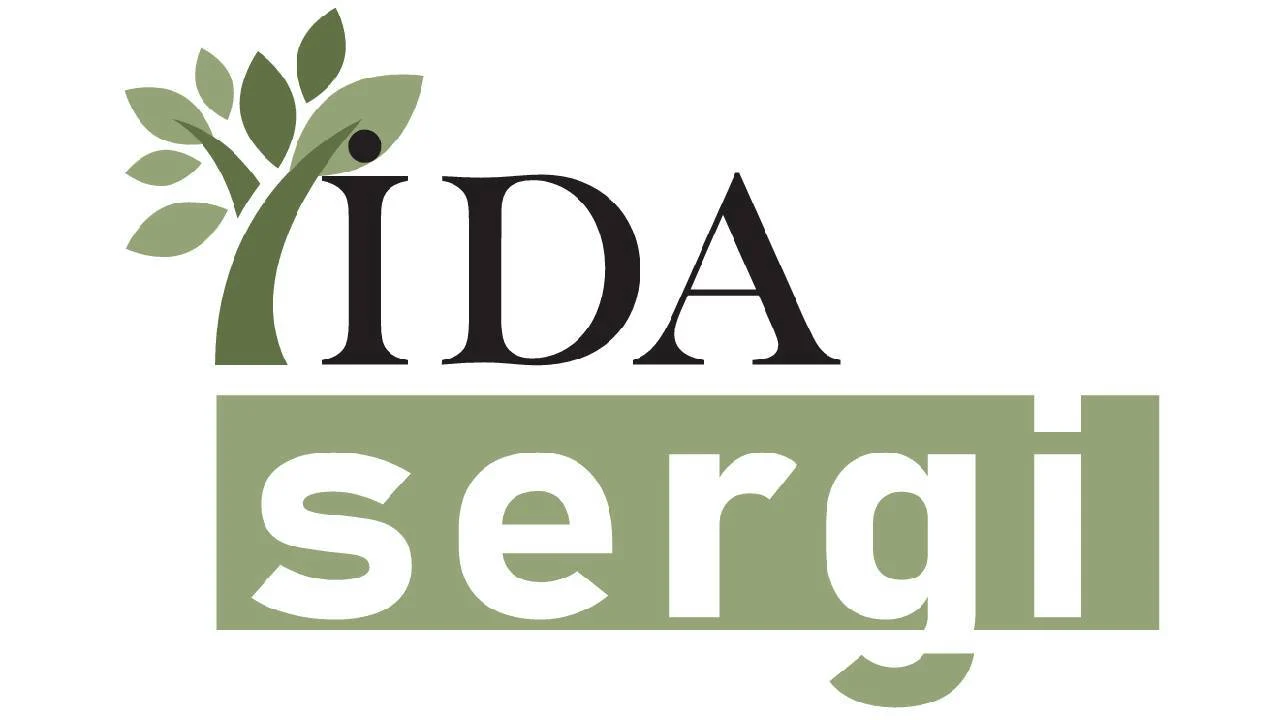 Bir zeytin ağacının gölgesinden ışığa