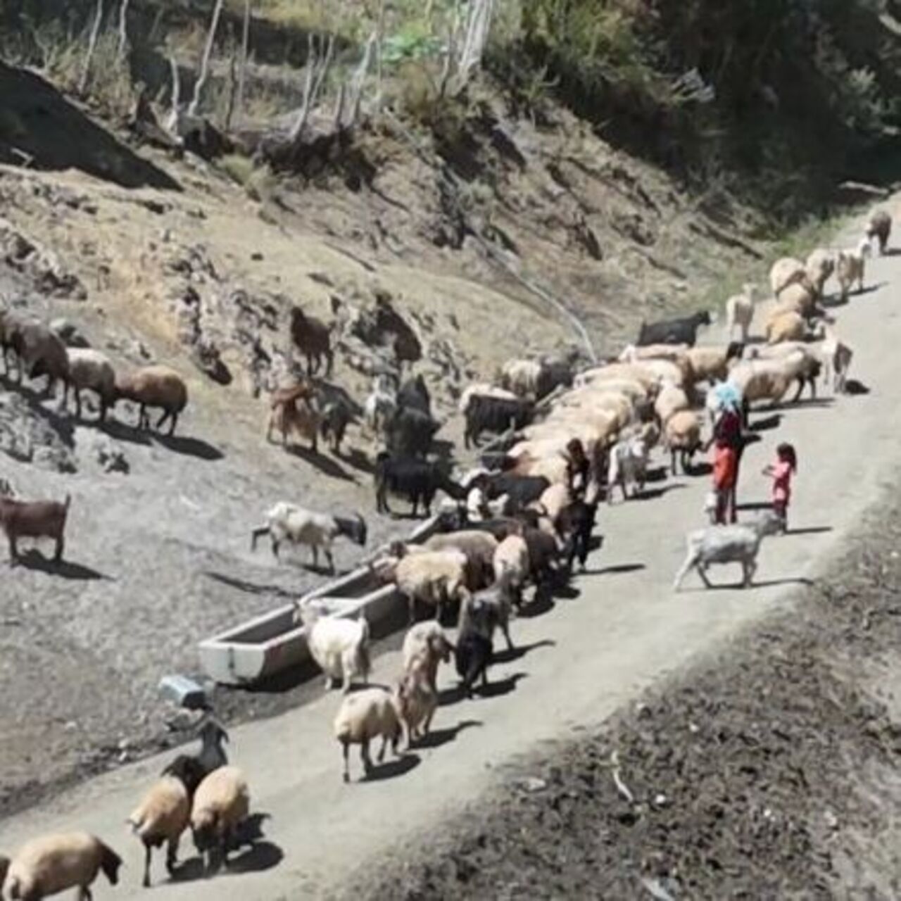 Su için her gün 3 kilometre