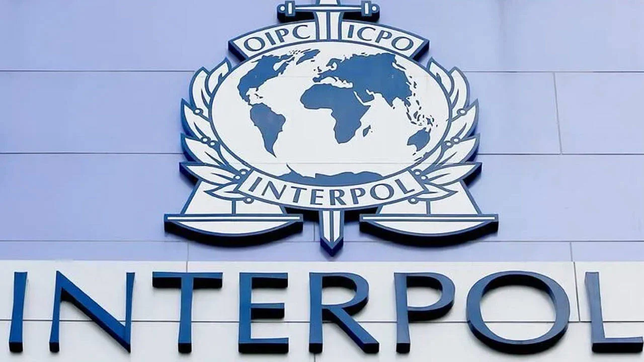 Interpol'den Latin Amerika'da çevre suçları operasyonu: 233 kişi gözaltına alındı