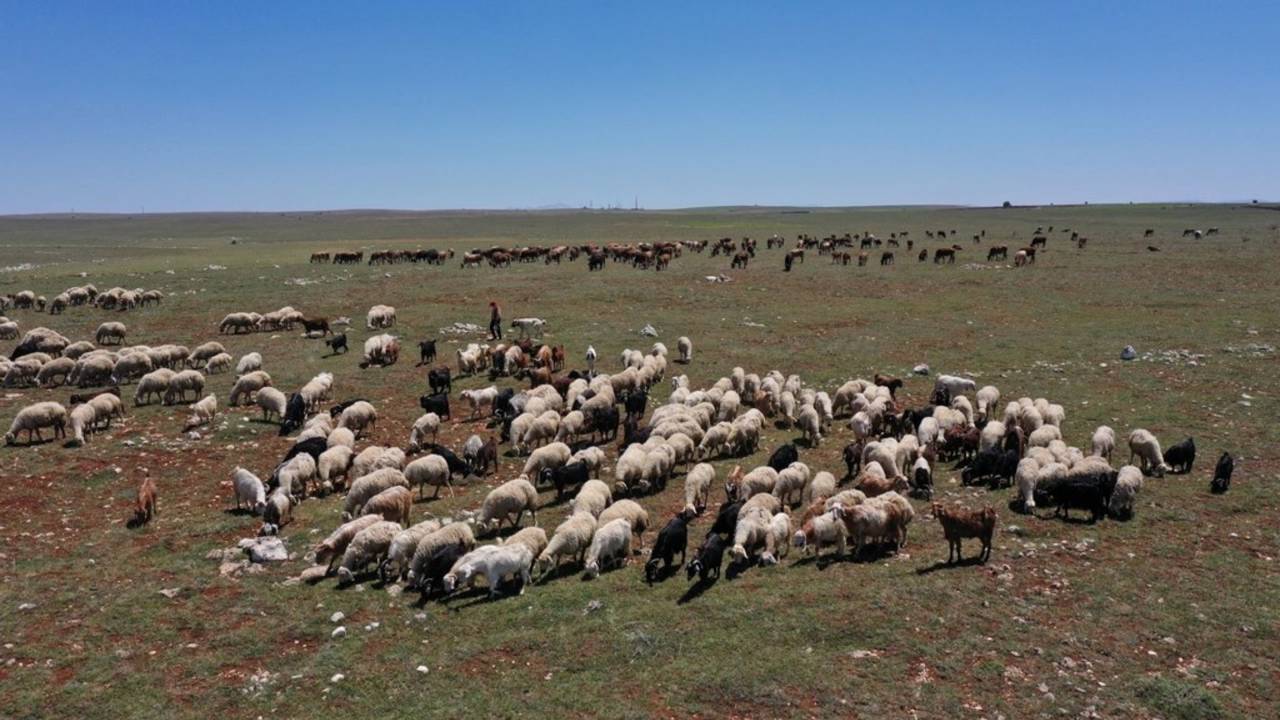 Talan projeleri Meclis’e taşındı: Karaseki Düzü’nden ne istiyorsunuz?
